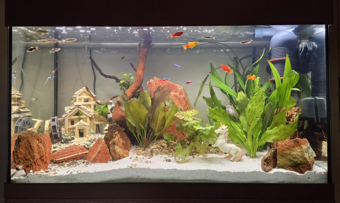 LE CANYON OCCITAN NOVEMBRE 2025 