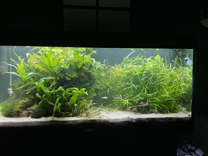 Photographie du post de Molac 