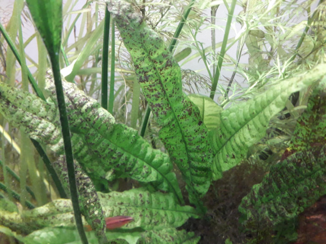 Photographie du post de flow48 