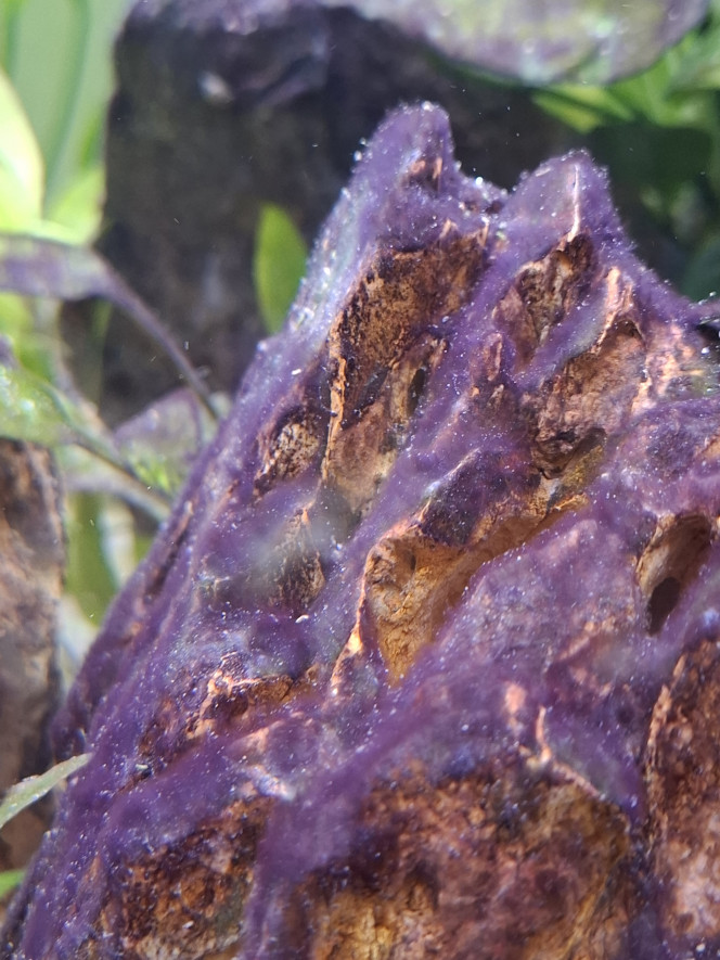 Photographie du post de Guiguidu57 