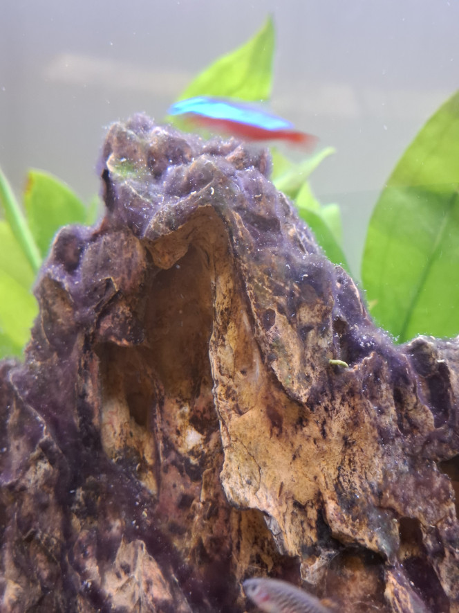 Photographie du post de Guiguidu57 