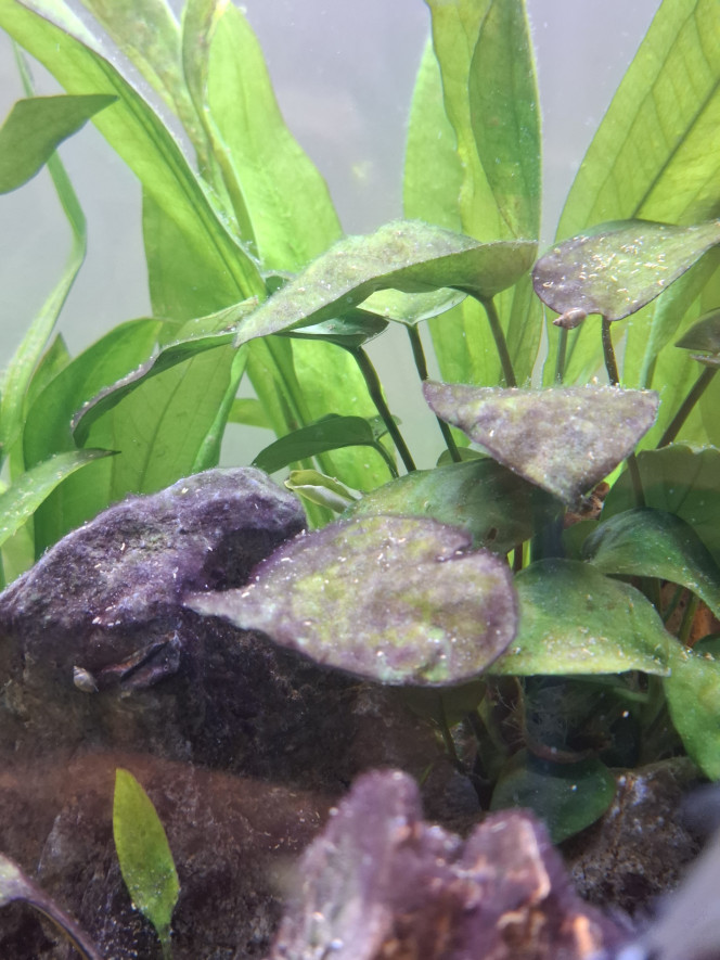 Photographie du post de Guiguidu57 