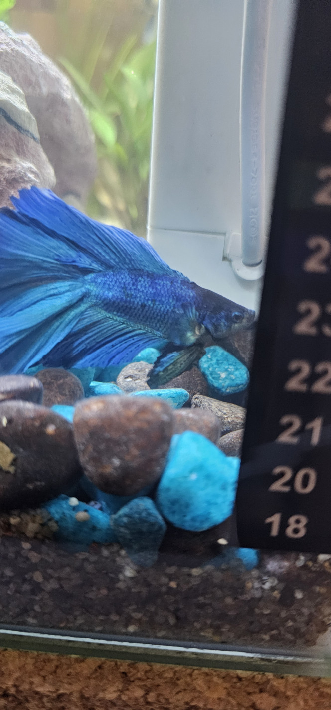 Photographie du post de InesAribo 