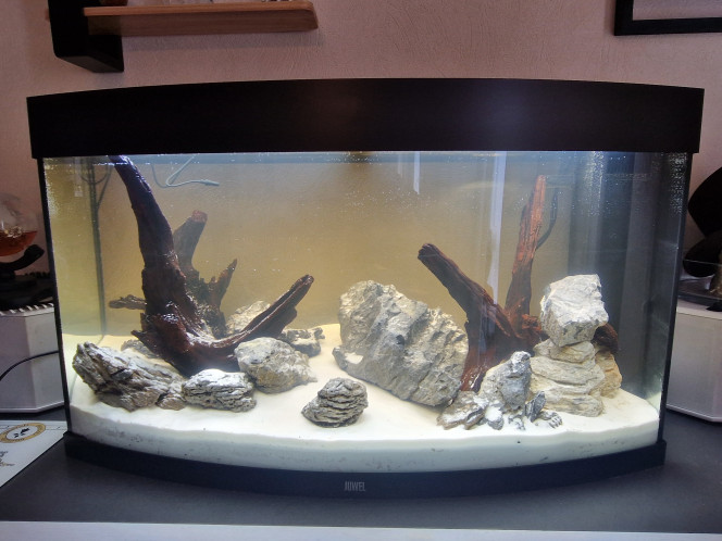 J+1 Début de rejet de tanin