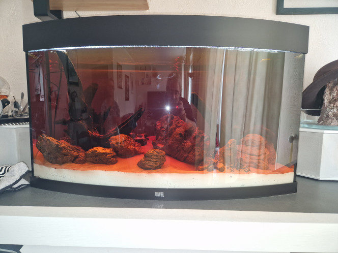 J+24 Fin du dark start, photo avant vidange.