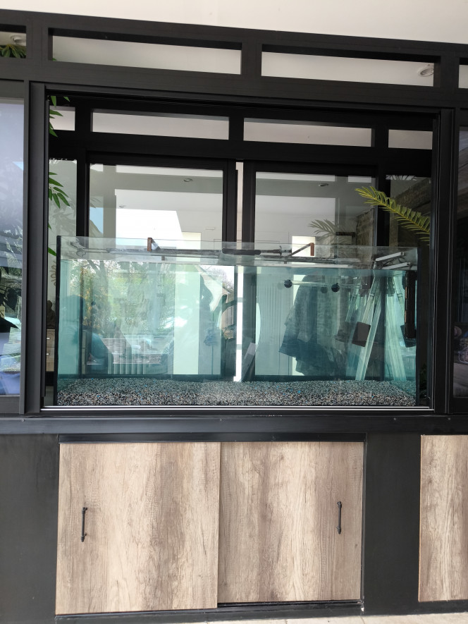 Photographie du post de Dawn14 