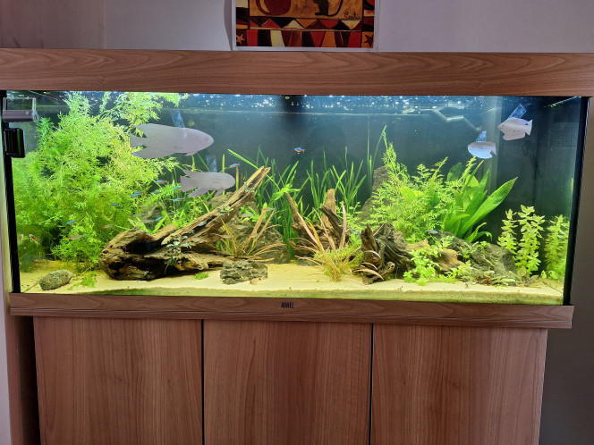 Photographie du post de MarieJouc 