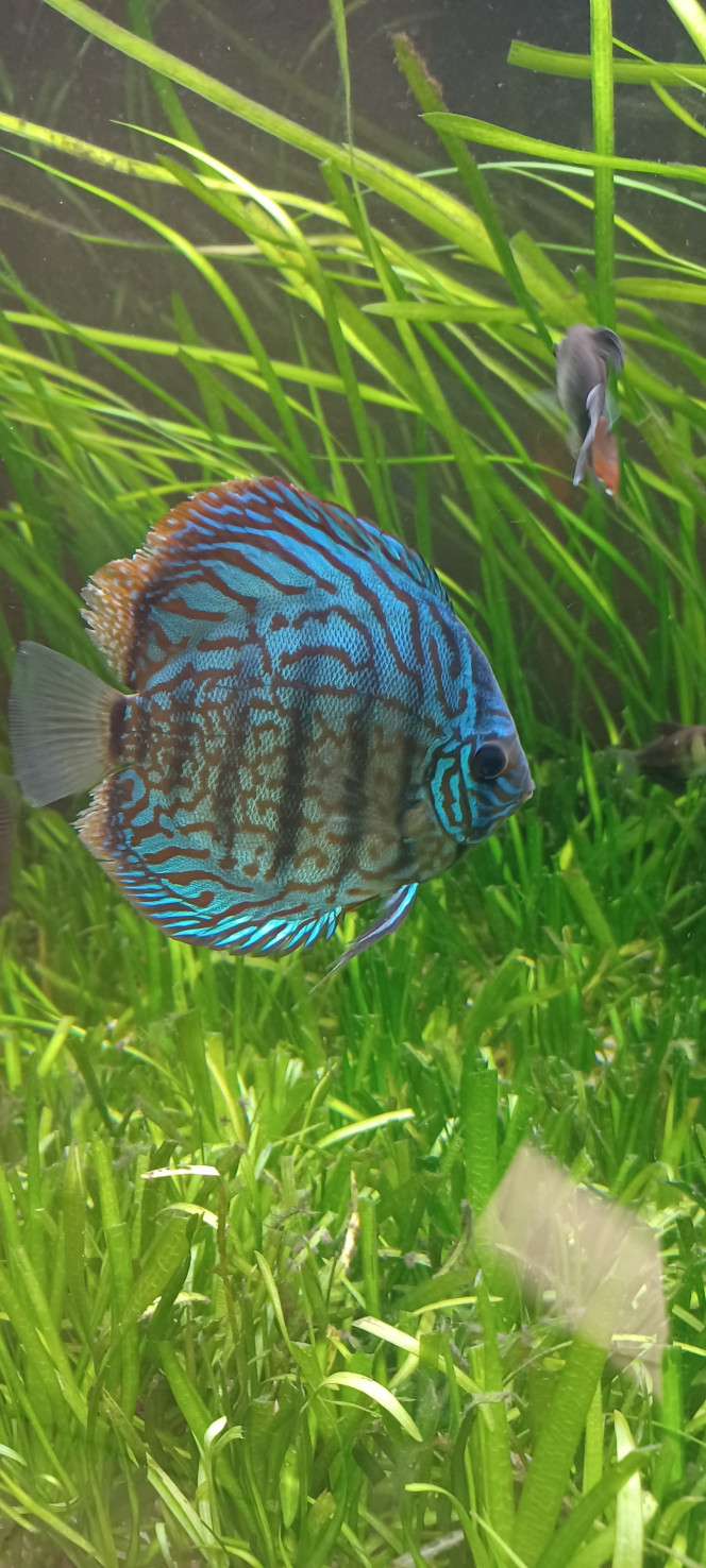 Photographie du post de Bruno6944000 