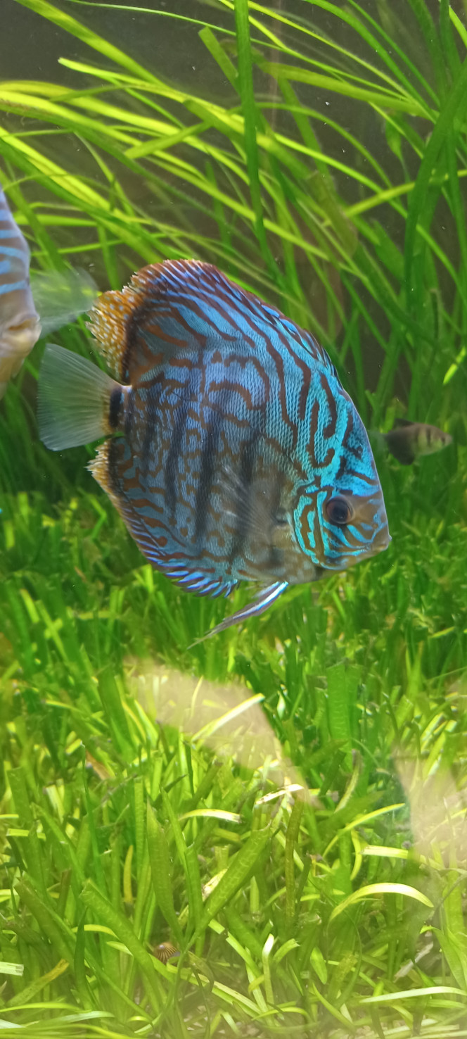 Photographie du post de Bruno6944000 