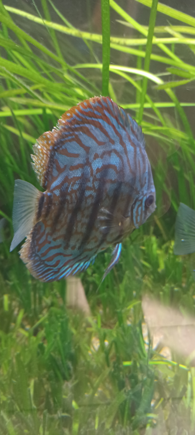 Photographie du post de Bruno6944000 