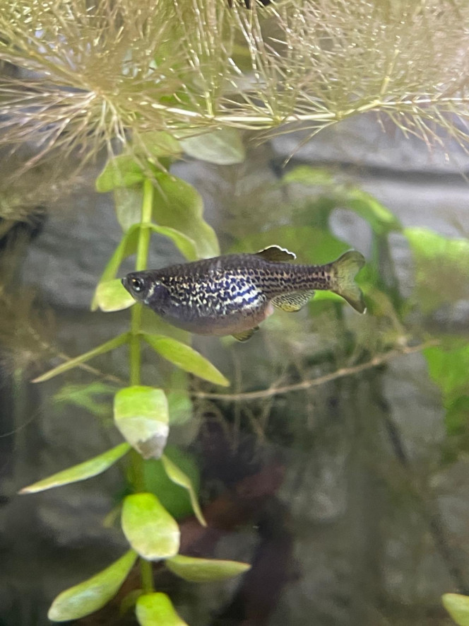 Photographie du post de Emmanuel07 