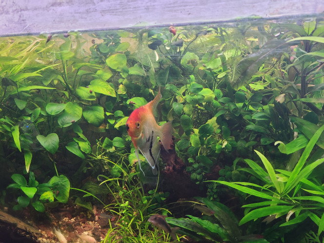 Photographie du post de laurent-galichet 