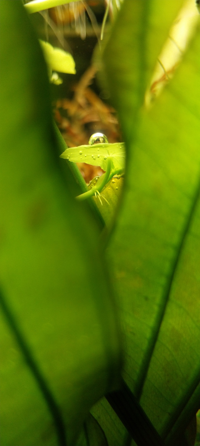 Photographie du post de STK54 