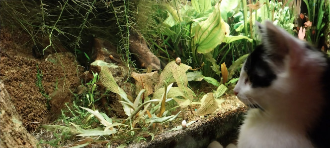 Photographie du post de STK54 