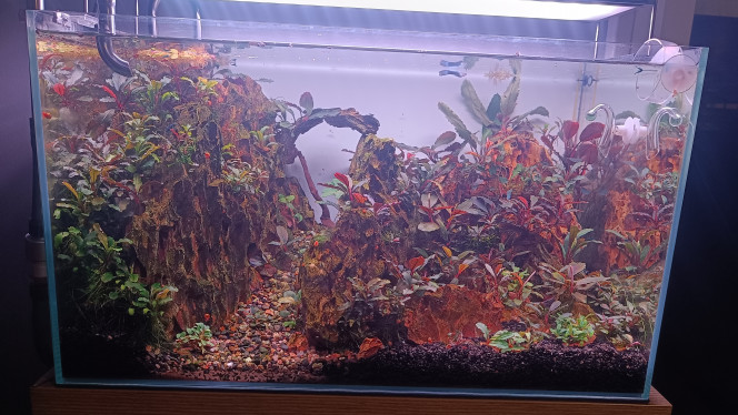 Mise à jour au 12/11 Voilà le full buces mis à jour.
Plein de couleurs ?