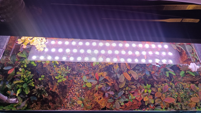 Mise à jour au 12/11 Voilà le full buces mis à jour.
Plein de couleurs ?