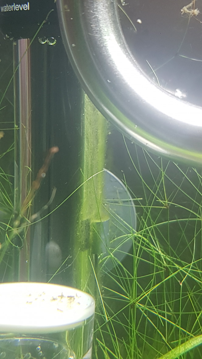 Photographie du post de LiquidPaper2008 