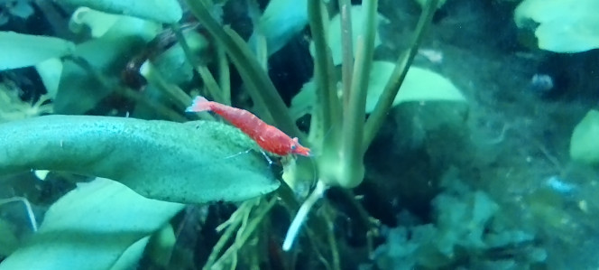 Photographie du post de Olivier1977 