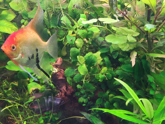 Photographie du post de laurent-galichet 