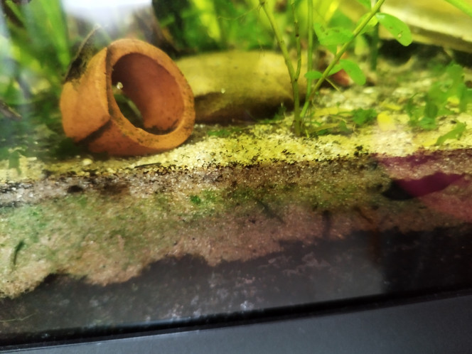 Photographie du post de Orion07 