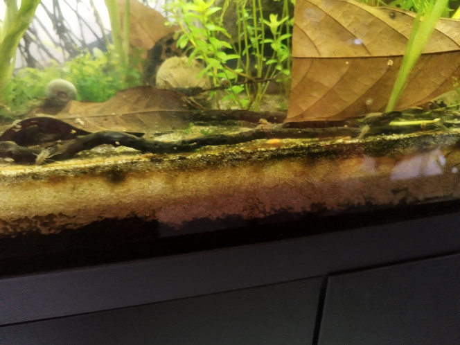 Photographie du post de Orion07 