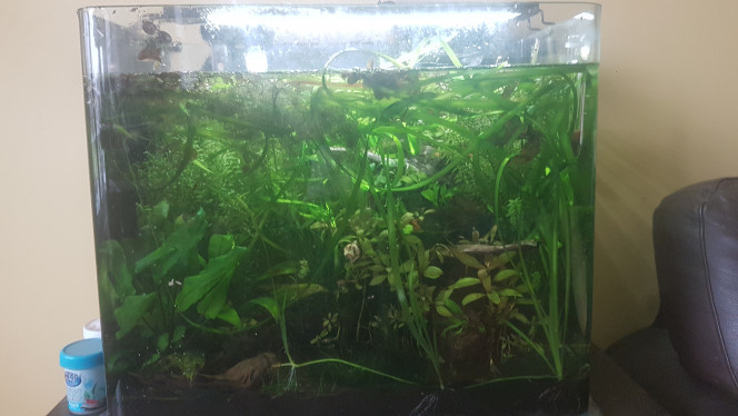 Photographie du post de LiquidPaper2008 