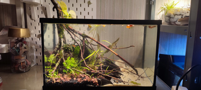 Photographie du post de PtiteNoli 