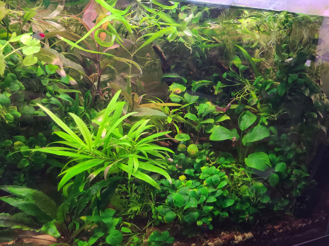 Photographie du post de laurent-galichet 