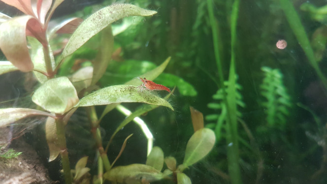 Photographie du post de LiquidPaper2008 