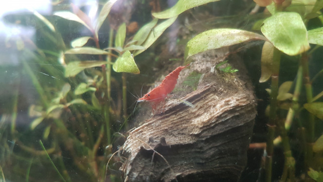 Photographie du post de LiquidPaper2008 