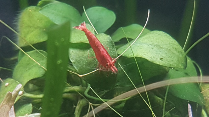 Photographie du post de LiquidPaper2008 