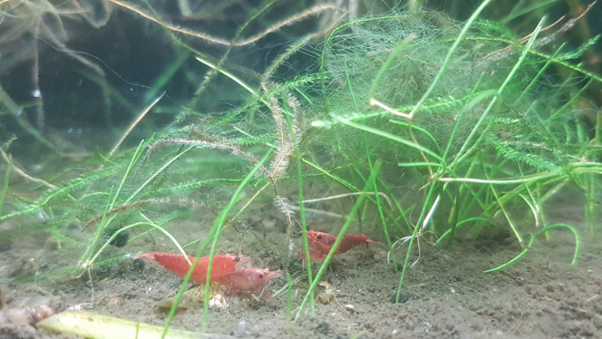 Photographie du post de LiquidPaper2008 