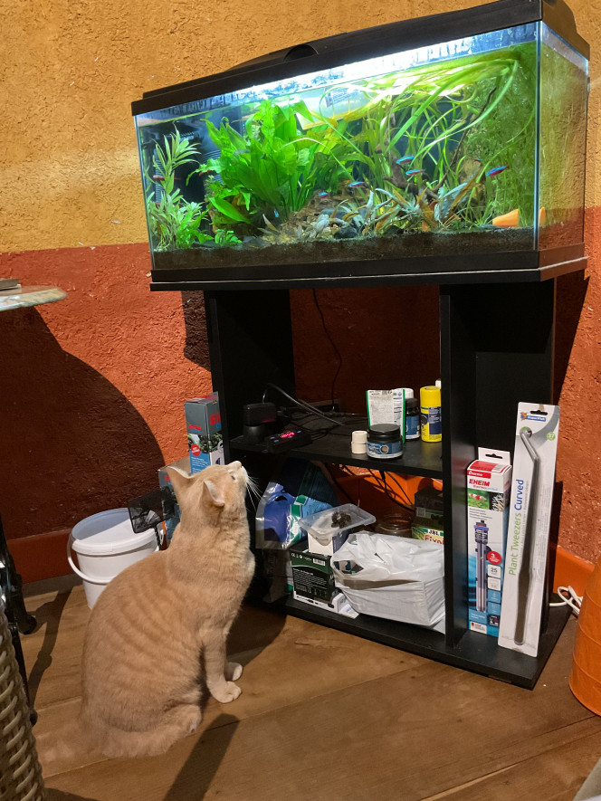 Photographie du post de Nahemafleur 