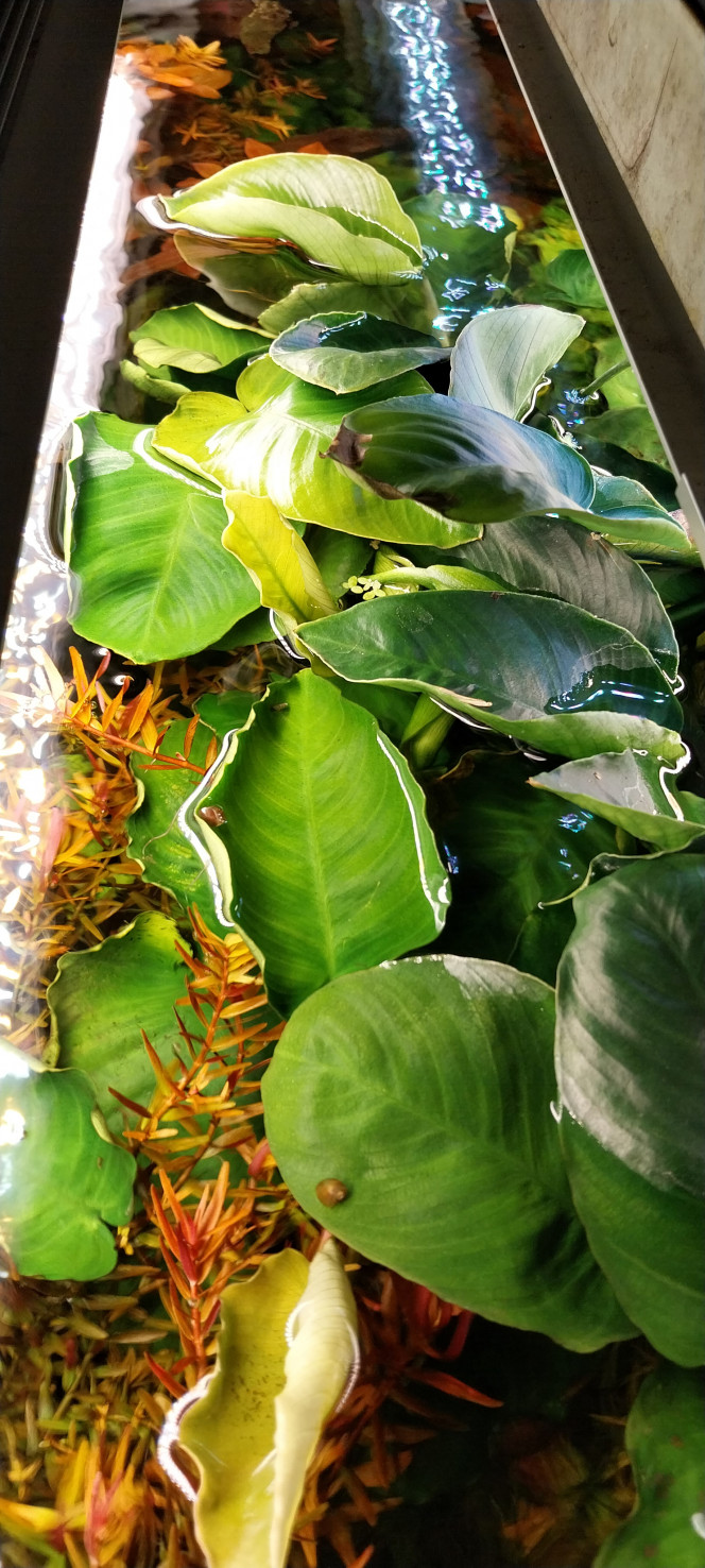 Photographie du post de STK54 