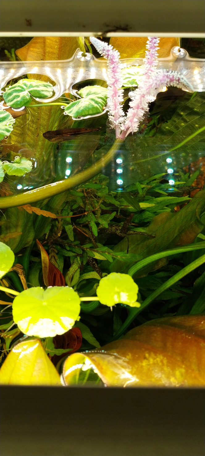 Photographie du post de STK54 