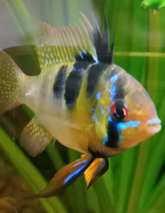 Photographie du post de Izarine 