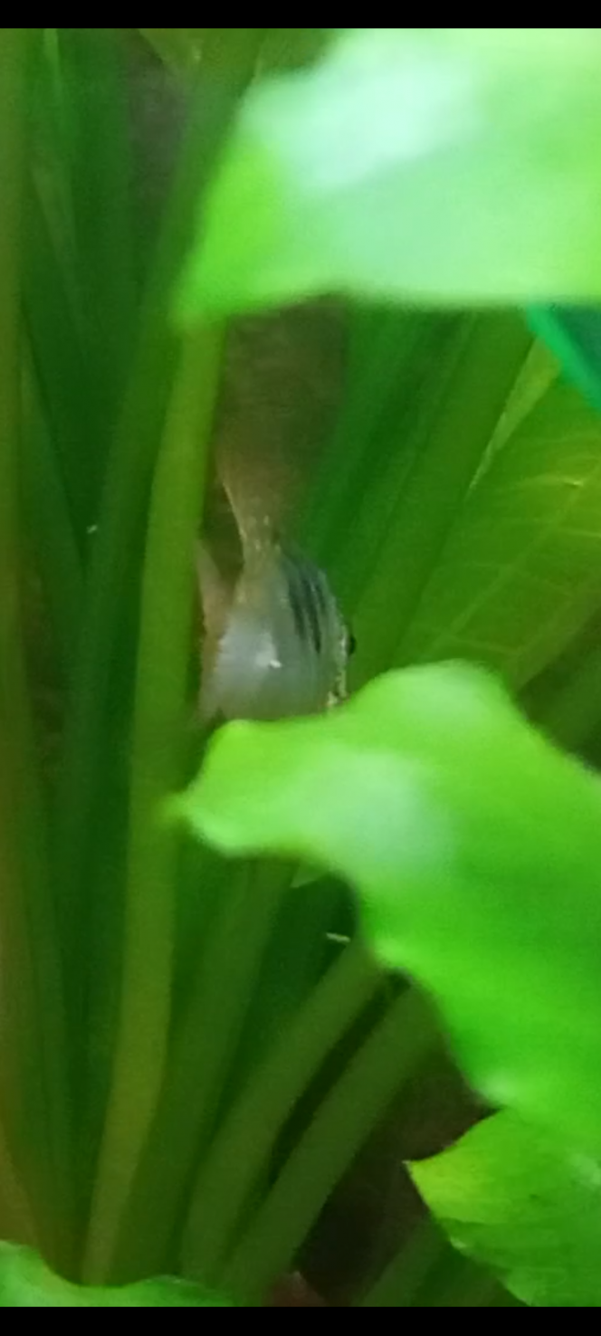 Photographie du post de Izarine 