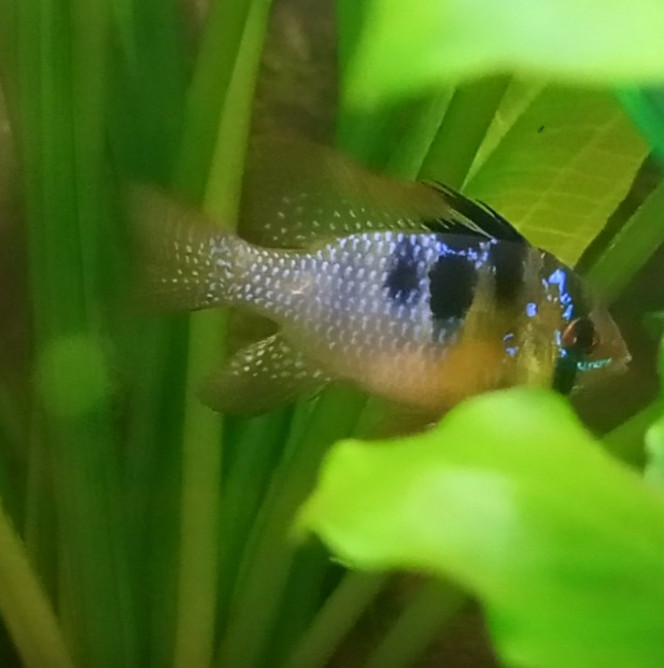 Photographie du post de Izarine 