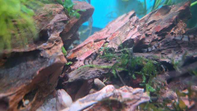 Photographie du post de ArtemusKlegg 