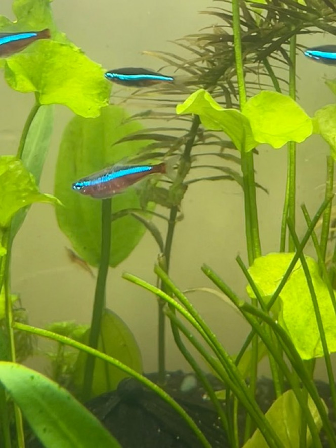 Photographie du post de LaRenardouce 