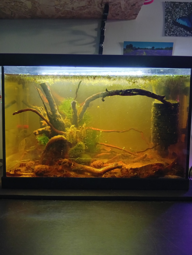 Photographie du post de LilithLisa 