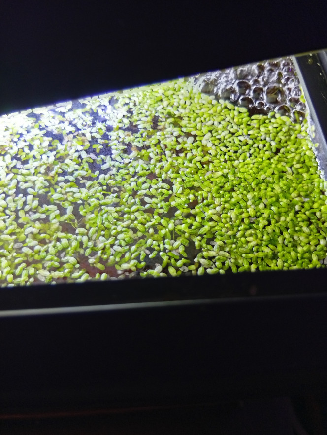 Photographie du post de LilithLisa 