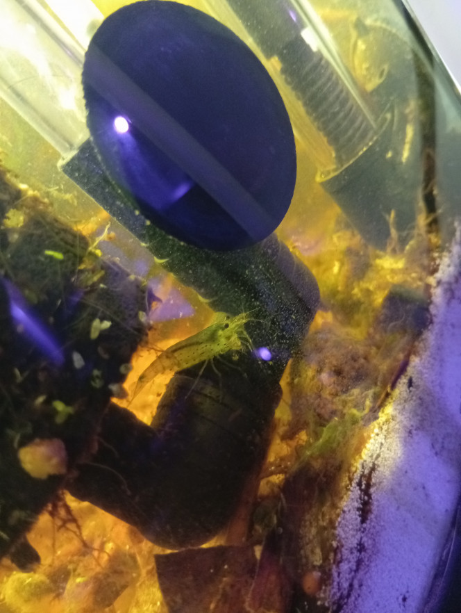 Photographie du post de LilithLisa 