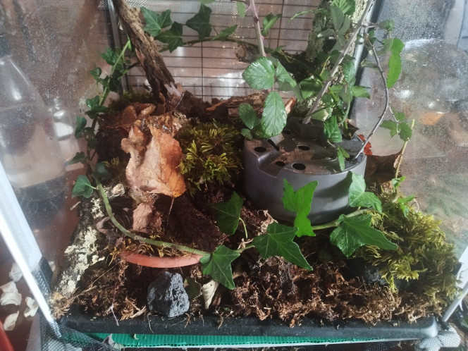 Photographie du post de Orion07 