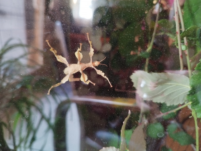 Photographie du post de Orion07 