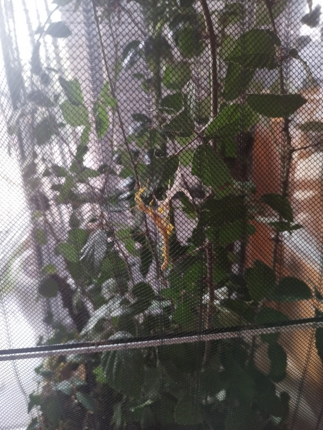 Photographie du post de Orion07 