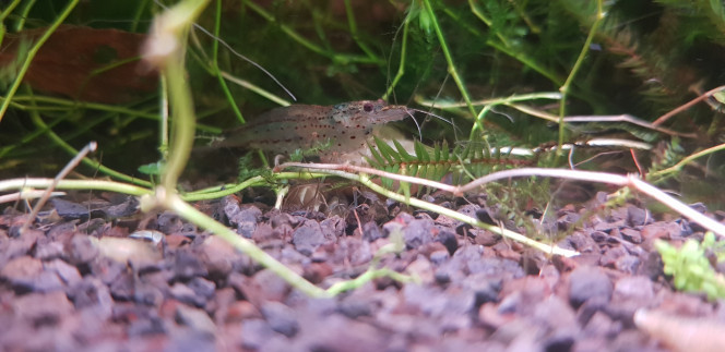 Photographie du post de Juwel69 