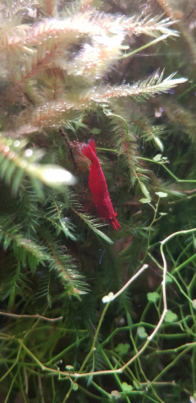 Photographie du post de Juwel69 