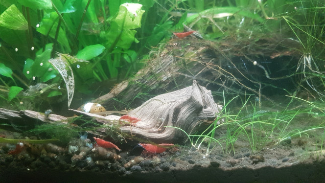 Photographie du post de LiquidPaper2008 