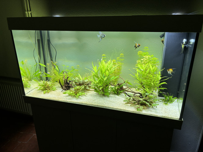 Photographie du post de Moqxo45 